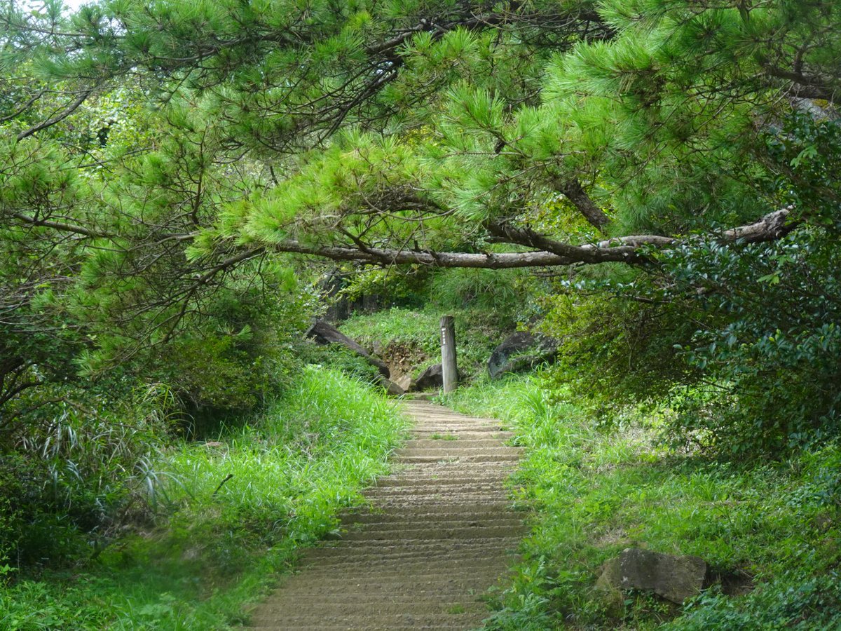 富士山生活のあいだ熟読していた野中径隆さん @natureguidelis の『Q&amp;Aでわかる山の快適歩行術』を実践しに近所の里山に行ってきました。ゆっくりと色んな歩き方を試しながら登るといかに自分の足関節や股関節が硬いかを思い知らされました😅膝の怪我と椎間板ヘルニア持ちなので今後も色々試します💡 