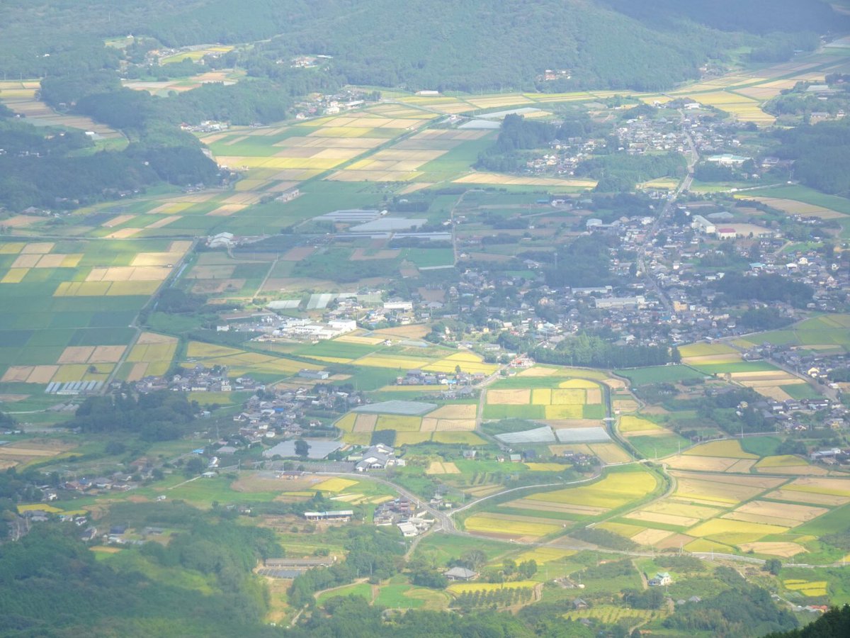 富士山生活のあいだ熟読していた野中径隆さん @natureguidelis の『Q&Aでわかる山の快適歩行術』を実践しに近所の里山に行ってきました。ゆっくりと色んな歩き方を試しながら登るといかに自分の足関節や股関節が硬いかを思い知らされました😅膝の怪我と椎間板ヘルニア持ちなので今後も色々試します💡 