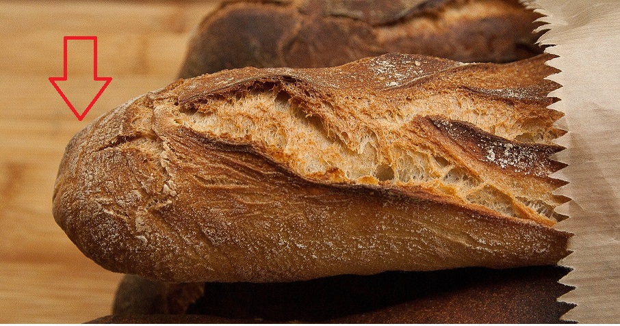 Carolina Julià Luna tweet media