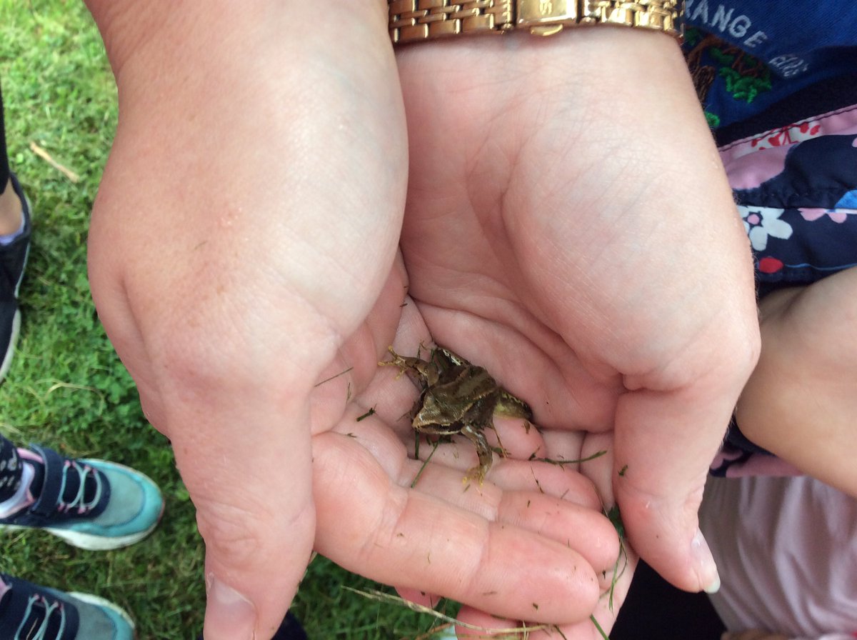 Hawthorn class had a good start to their forest school Fridays when they found a family of frogs 🐸 in the forest school garden. We can’t wait to see what we find next week...