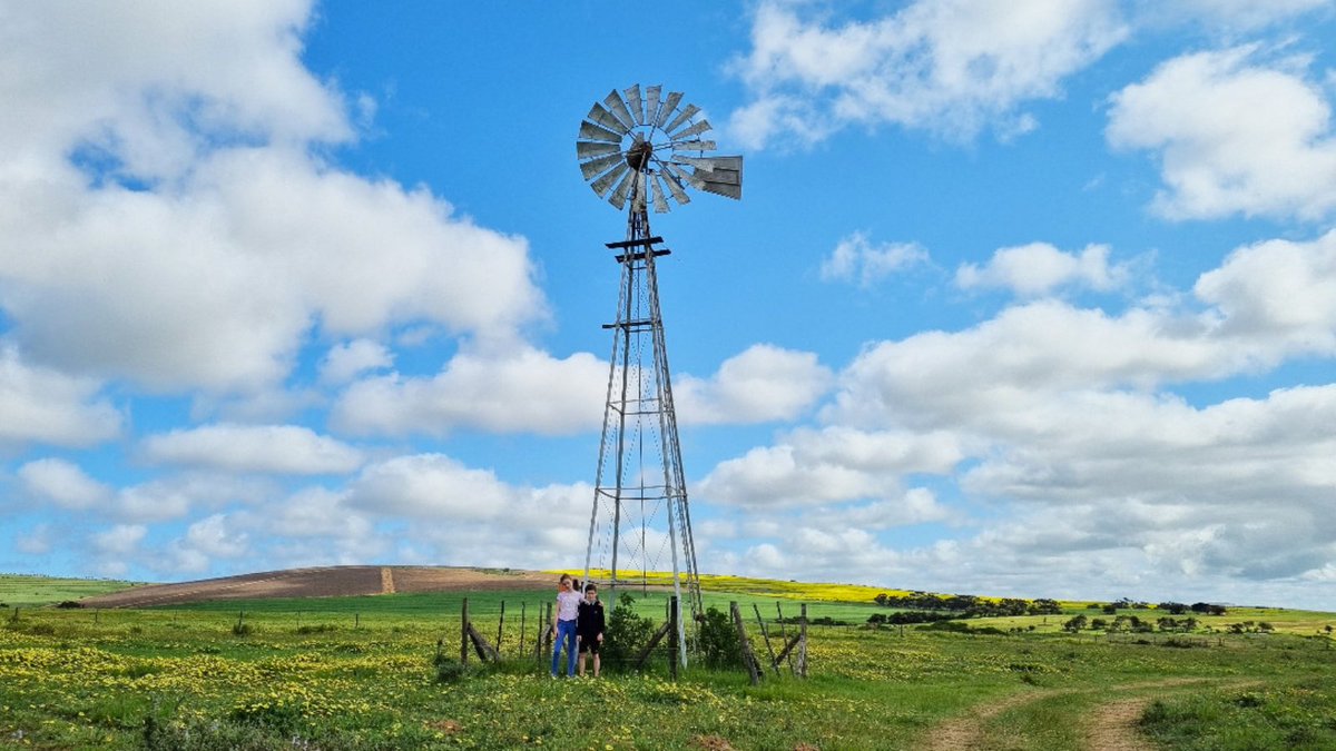 OneStopWander's tweet image. Hey Darling! 🌼🌿
Soul lifting and colourful. Feast on stunning spring country landscapes out and about near Tannie Evita's dorpie of #Darling!

Blog deets: bit.ly/3tSwy2v
#Travelchatsa #ShareSouthAfrica #RoadTrip