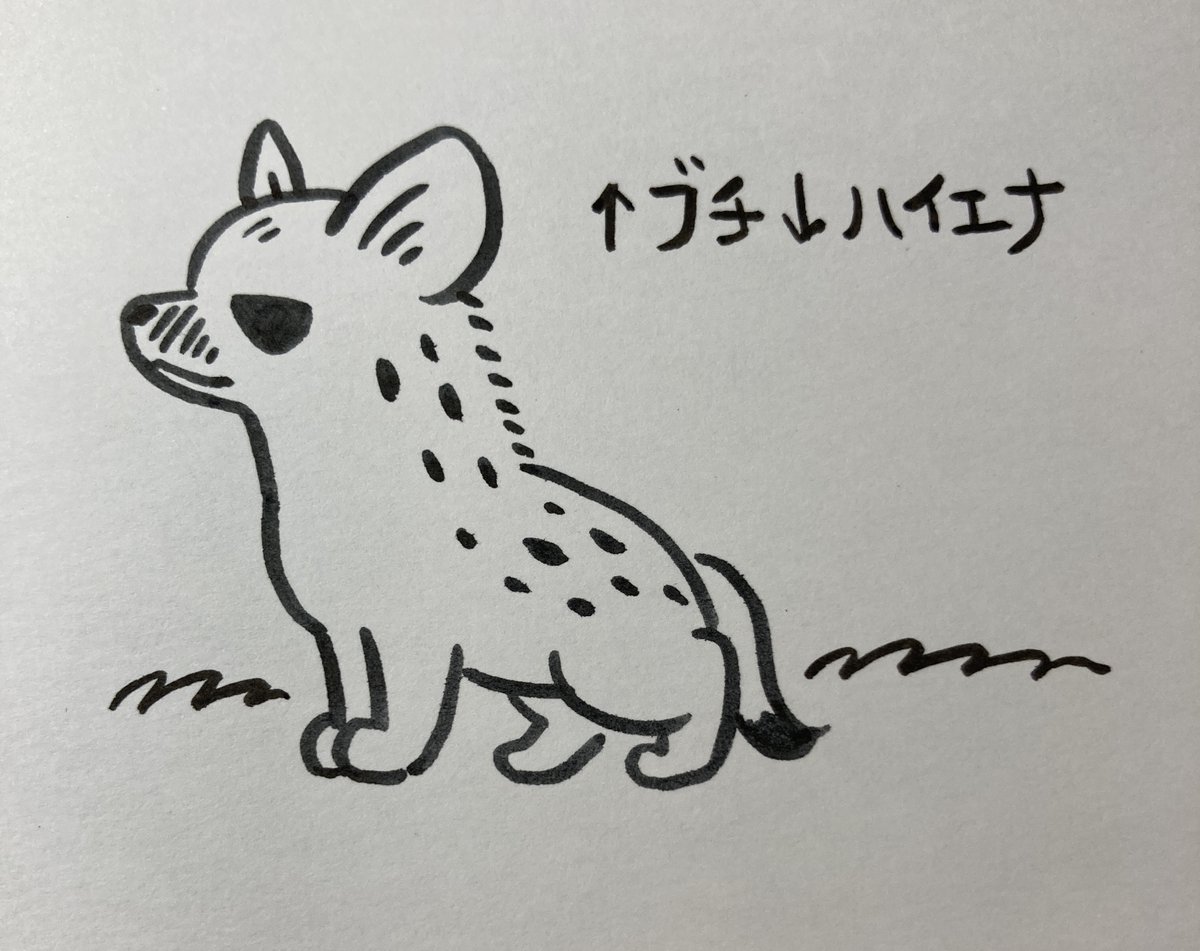 これも。 