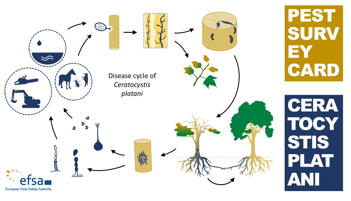 Plants EFSA tweet media