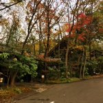 Go!Go!やす旅チャンネル🐈🛤🛣のツイート画像