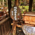 Go!Go!やす旅チャンネル🐈🛤🛣のツイート画像