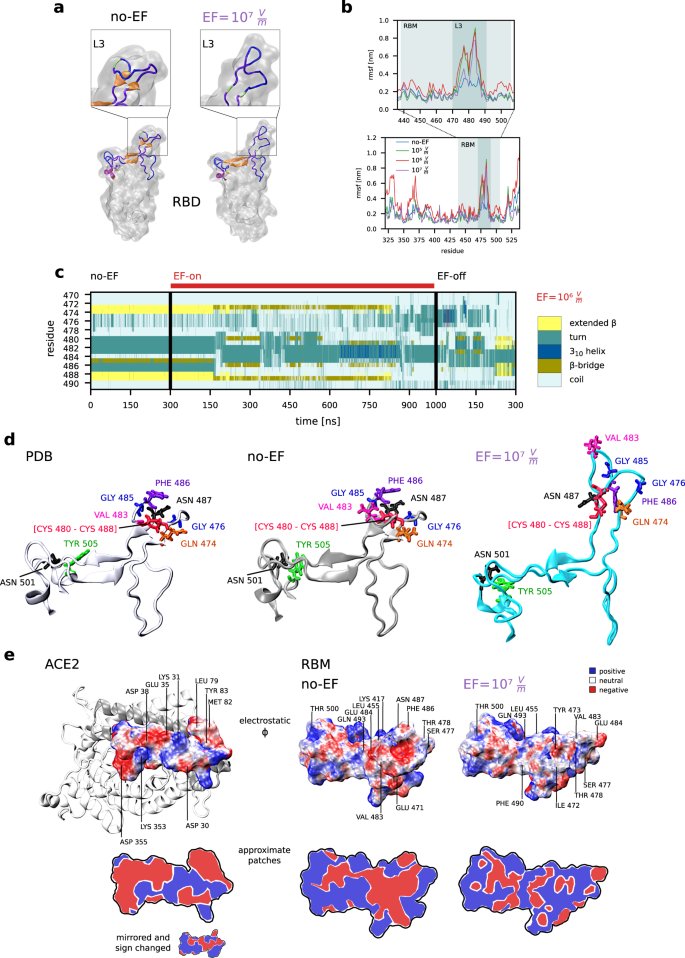 NatureComms's tweet photo. The group of Martin Garcia performed MD simulations, which show that the SARS-CoV-2 Spike protein is destabilised by moderate static electric fields @presseunikassel @GroupKassel 

https://t.co/yBWJzuypcT https://t.co/nW8HQiz6fN