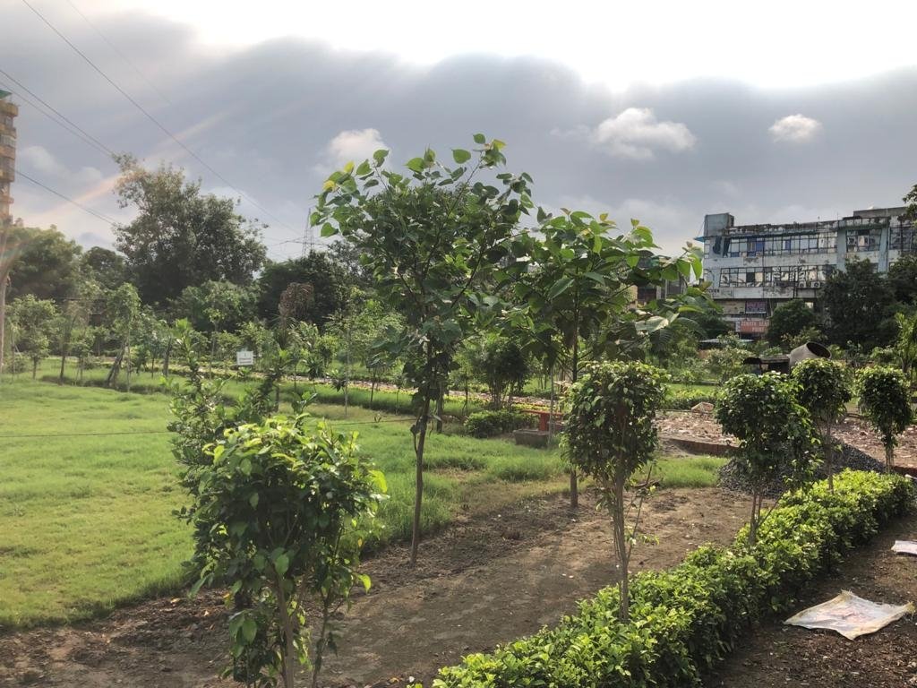 JasraReema's tweet photo. @NeelamParshad @AMRUTCityGzb  @GzbNagarNigam @dm_ghaziabad @myogiadityanath @myogioffice @DyCMGoUP @PMOIndia Do not let a murder be planned,even if it is of these mute trees&amp;plants, they give life if not celebrations.Festivites have alternatives life does not!Learn from pandemic https://t.co/x7Pck6Unsn