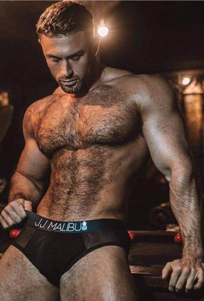 beardmusclehunk's tweet photo. #hairymuscle #bulgeunderwear https://t.co/jMBF1yGGaR
