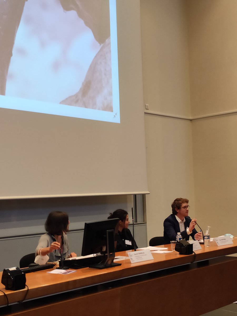 Tao Hoeffner, tout juriste de son état, met à l'épreuve la division fondamentale meuble/immeuble à l'aulne de la physique théorique, de Bergson, et des discours sur le Code civil. 
Comment déplacer un immeuble ? Le de facto empirique confronté à la vérité juridique de la fixité