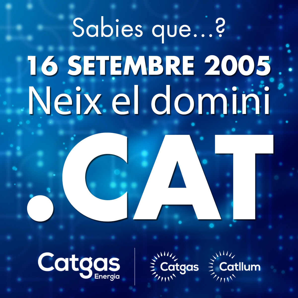 Catgas_Energia's tweet photo. Efemèride: tal dia com avui, ja fa 16 anys, va néixer el domini "CAT".
Un domini que parla de nosaltres.
Un domini que ens identifica.
#cat #catgas #catllum https://t.co/AALQbMnFJO