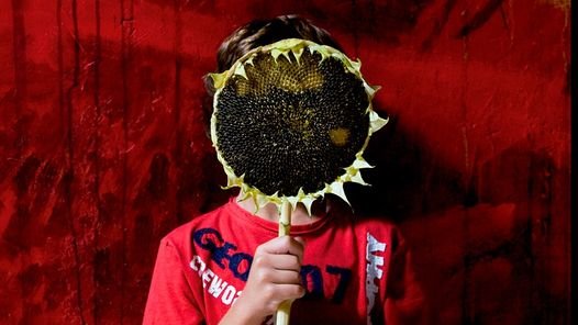 Cartel de Cristina García Rodero
#pinturamuralalarcon #JesusMateo #unesco #cuenca #Alarcon #artecontemporaneoespañol #patrimonio #conjuntoistoricoartistico