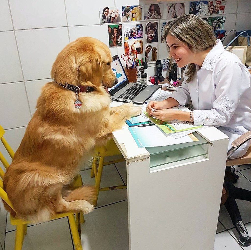 sürekli havlayasım geliyo doktor hanım