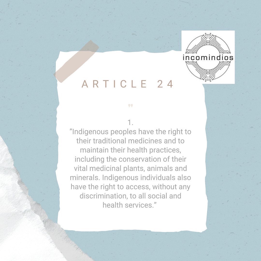 IncomindiosUK's tweet photo. Article 24 of the United Nations Declaration on the Rights of Indigenous Peoples.
#UNDRIP #Indigenous #Indigenoushealth #UnitedNations #IncomindiosUK https://t.co/bdSxbuQp7G
