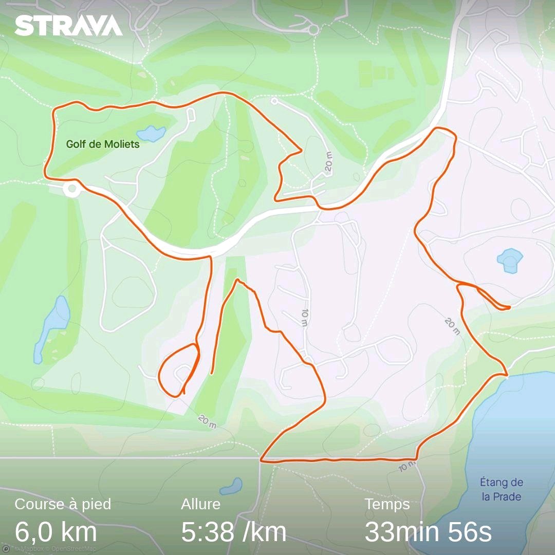 #stravart involontaire de dinosaure 🦖 strava.app.link/Tw5Uryj4Ajb