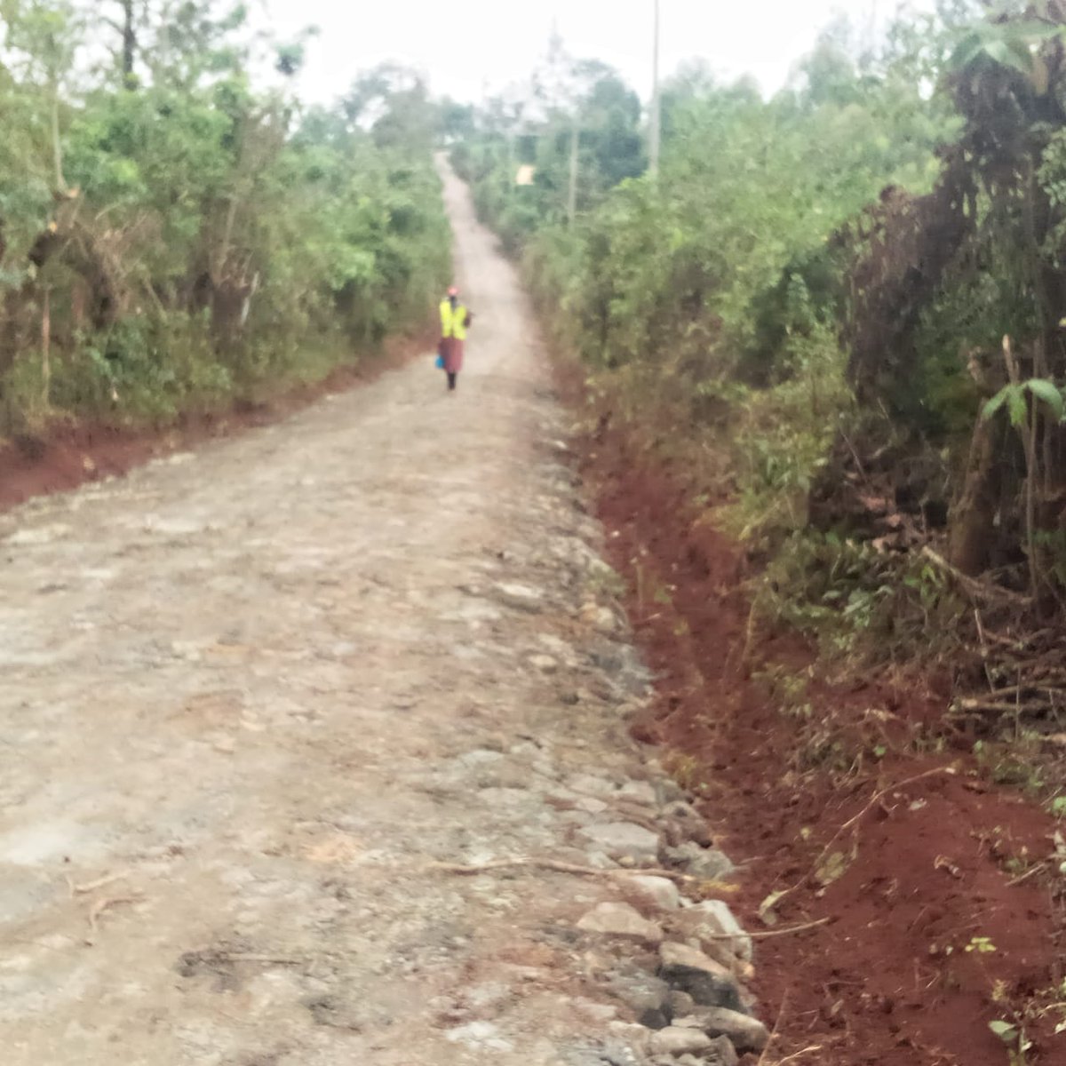 Ndindi Nyoro tweet media