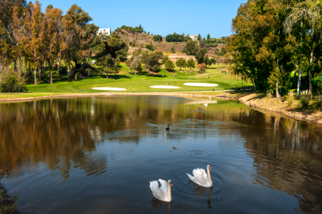 AtalayaGolf's tweet photo. Atalaya Golf &amp; Country Club is your golfing dream come true with 36 championship holes!  
Play the New Course for a shot makers delight.  
Play the Old Course for a more traditional round through wide, parkland fairways.  
Book Online Now! https://t.co/imiiSwued0 https://t.co/s7TInGzNbv