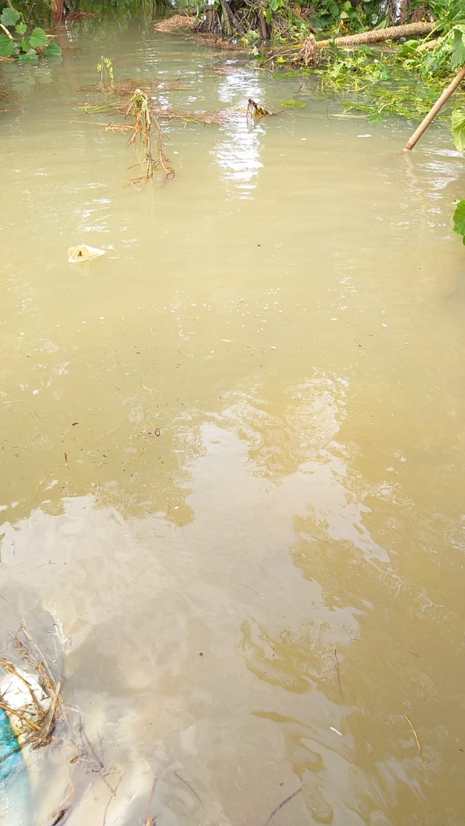 manaskarjspur's tweet photo. More than 10 family got stuck in waterlog due 2 heavy rain at #Haripa village of Sompur panchayat from @PanchayatE along with cattle frm last 3 days. 
No response frm administration yet. Request for an early help 2 the needy. @CollectorJspur @PRDeptOdisha @MoSarkar5T @SecyChief https://t.co/YIzirlQO3b