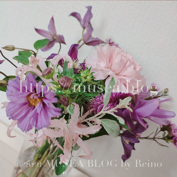 Reino サメ サガン鳥栖 お花好き 先日 ひとはな から届いたコスモスのつぼみが開いたよ 切り花のつぼみが開くとすごく嬉しい かわいいなぁ Hitohana お花の定期便 Hitohanaアンバサダー お花のある暮らし お花のサブスク 切り花で楽しむ
