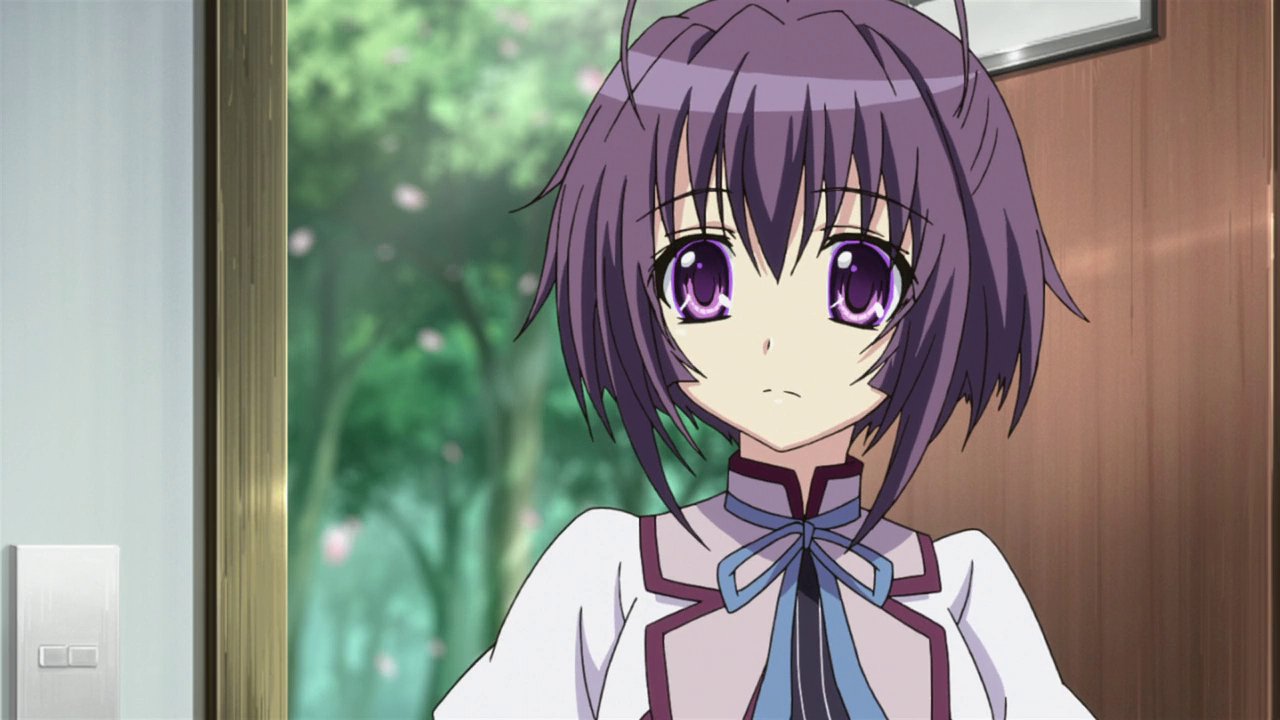 Mashiro Tv Twitter Search Twitter