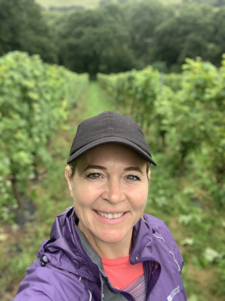 Who says you can’t have a #GapYear in your 40s! Swapping a studio for picking a vineyard, while spending a year with my folks in Cornwall. (I love their wine too!🍾) <a href="/camelwinemaker/">Sam Lindo</a>