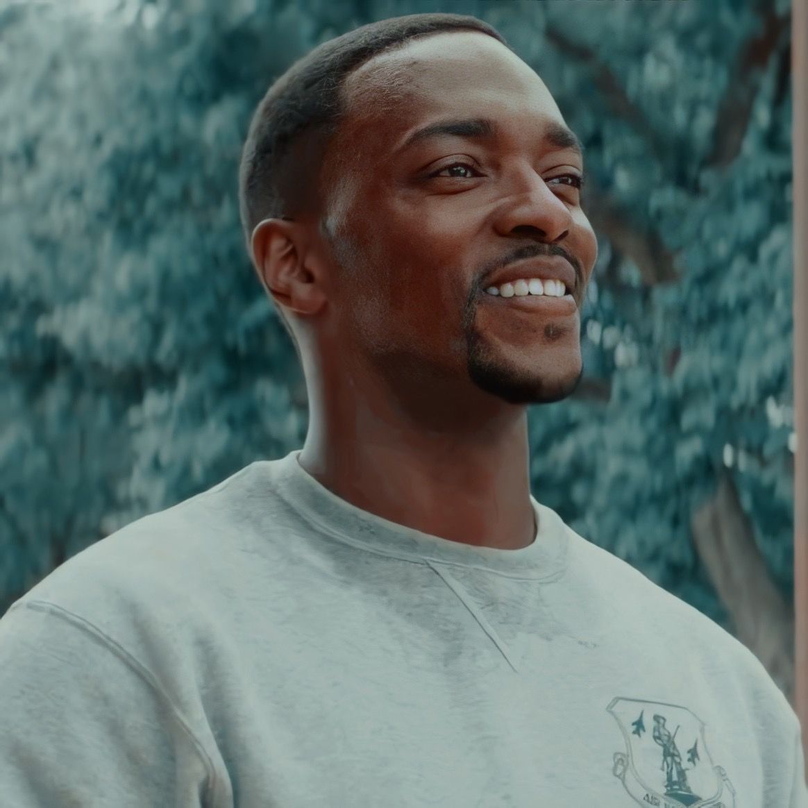 Happy Birthday mister Anthony Mackie!! 