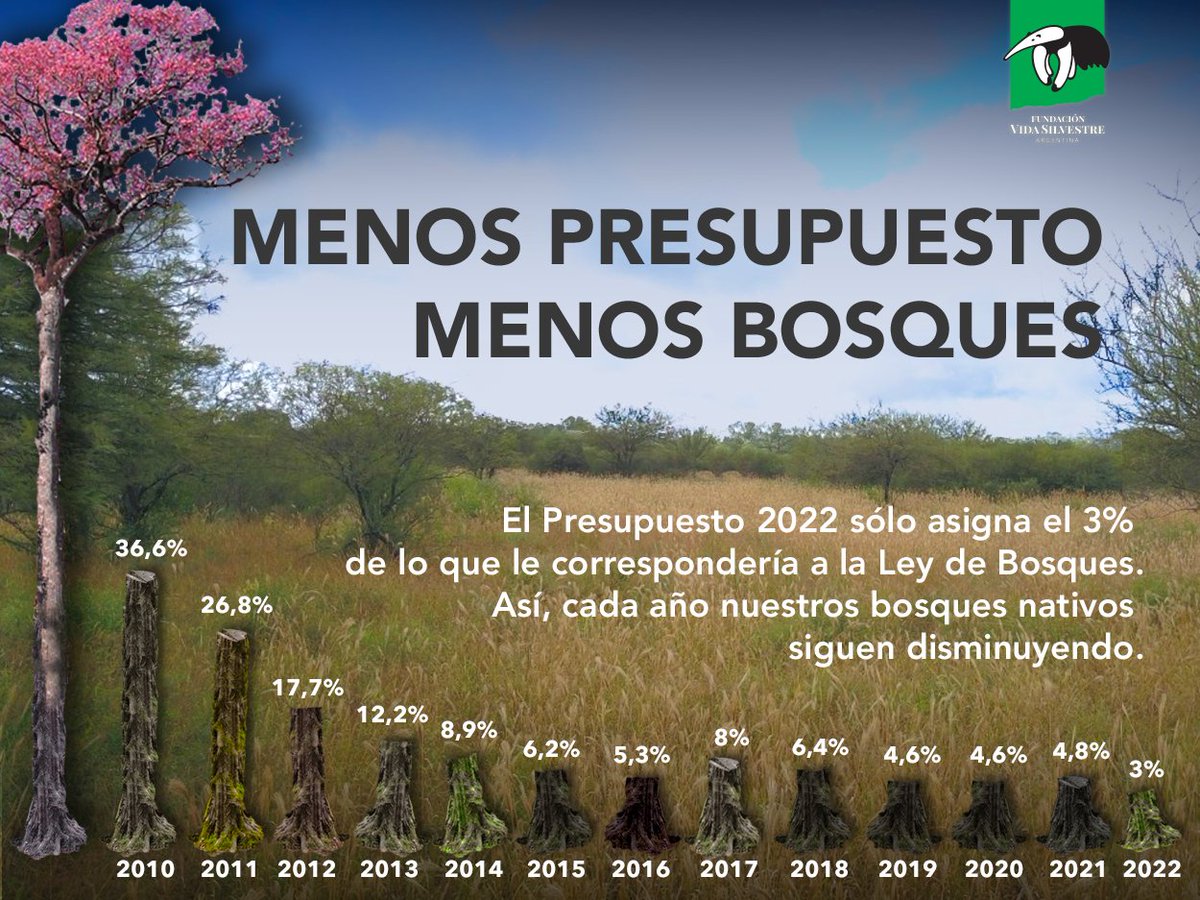 📉Cada año, el porcentaje de presupuesto para la #LeyDeBosques disminuye, y seguimos perdiendo bosques nativos.