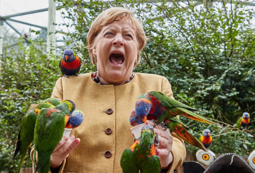 pourmecoffee's tweet photo. It begins.

"German Chancellor Angela Merkel reacts as she gets bitten while feeding Australian lorises at Marlow Bird Park" (Georg Wendt/dpa) https://t.co/cjau4RwjZw