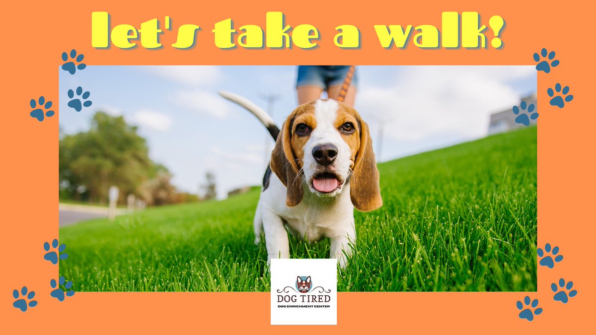 Fall is here! 🍁🍂 Cooler weather calls for more time outside.  Daily Dog Walking Packages are available and our trained staff can help when you're too busy. Call today to book! (843) 408-1033