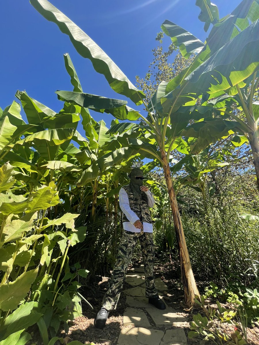 Bruce Ray tweet media