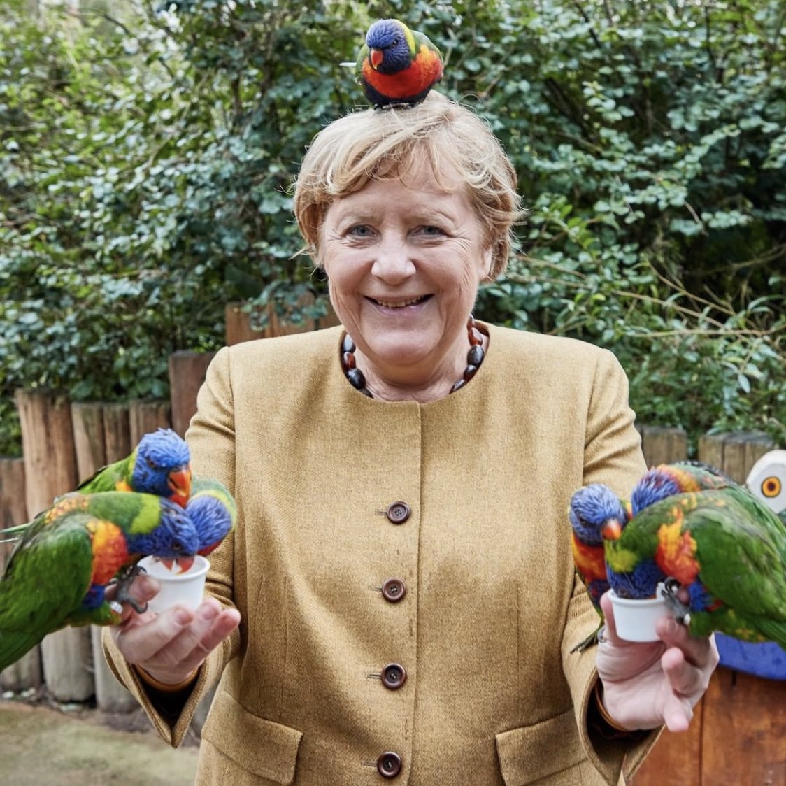 BenjAlvarez1's tweet photo. Angela Merkel visiting a bird park https://t.co/sgAzayVT1n