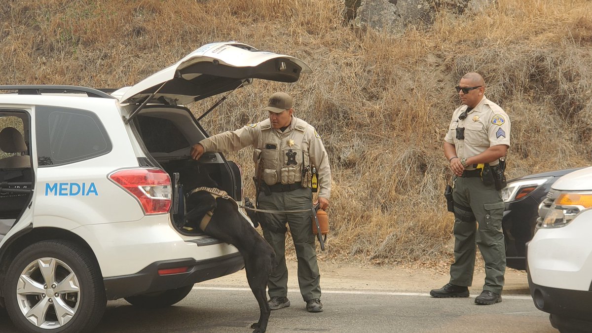 DwelleKMPH's tweet photo. This dog spent an uncomfortable amount of time sniffing my car. I think he was just interested in the excessive crumbs of Starbucks banana bread. https://t.co/abvvCWaVXw