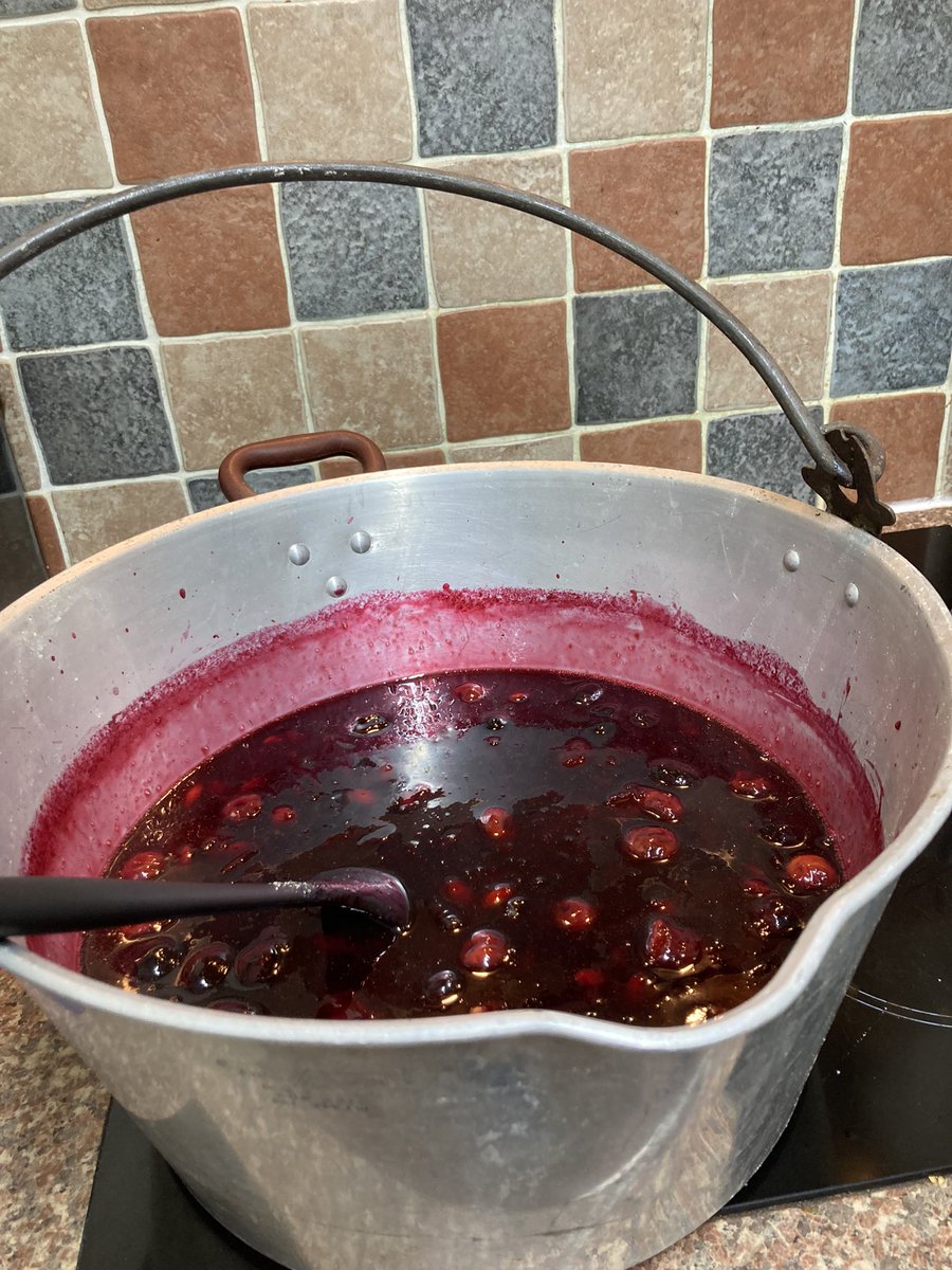 bernardsfarmuk's tweet photo. It has commenced! 😋
#JamMaking #DamsonJam #Damsons #FruitsOfTheFarm #AutumnFodder #SmallholderSkills #InSearchOfTheGoodLife #JamPan https://t.co/jdLzUCfVAl