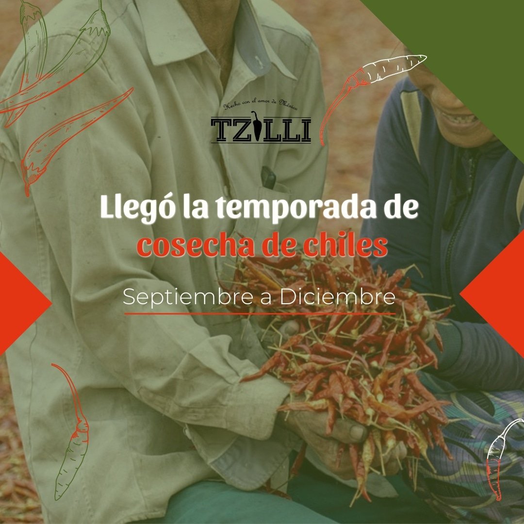 SalsasTzilli's tweet photo. Ya llegó la temporada para encontrar gran variedad de chiles y productos que tenemos en nuestro México. 🌶️🌽🍉🍊

#consumelocal #food #chiles #méxico #querétaro #puebla #yummy #chef #comida #gourmet #campo #amigos https://t.co/EwSkx05MAM