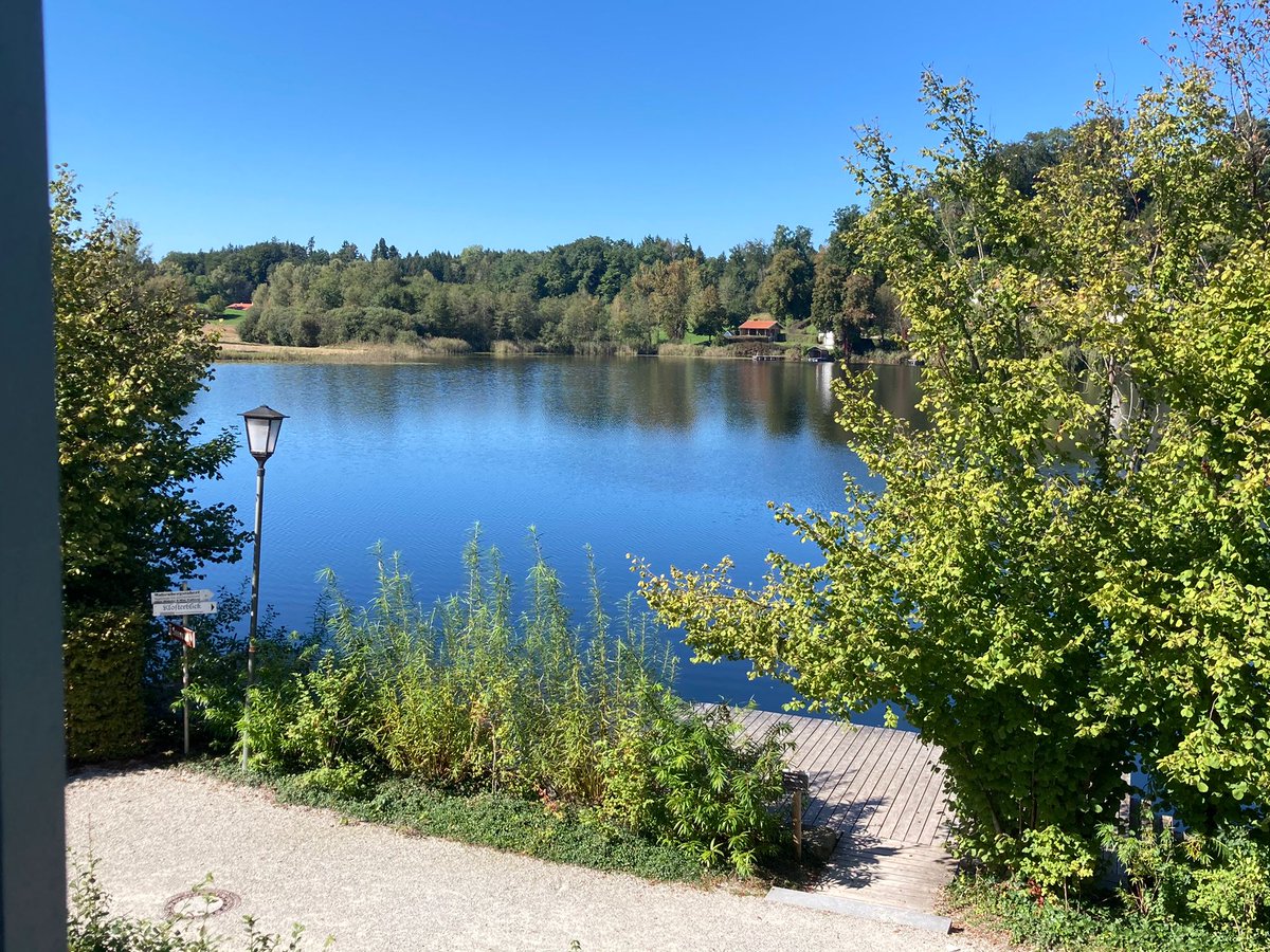 Karina Yaniv tweet media