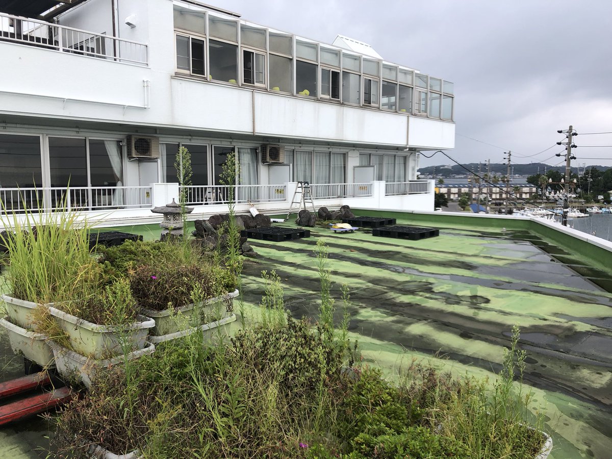 建築工房 空 日間賀島 ホテル晴快荘様の屋上庭園工事始まりました 建築工房 空 日間賀島 ホテル晴快荘様の屋上庭園工事始まりました
