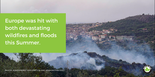 ActionEarthorg's tweet photo. Extreme weather events rarely come alone these days. 😱
#actionforearth #extremeweather #climatedisaster #climatechangefromspace https://t.co/u38mPbRnVT