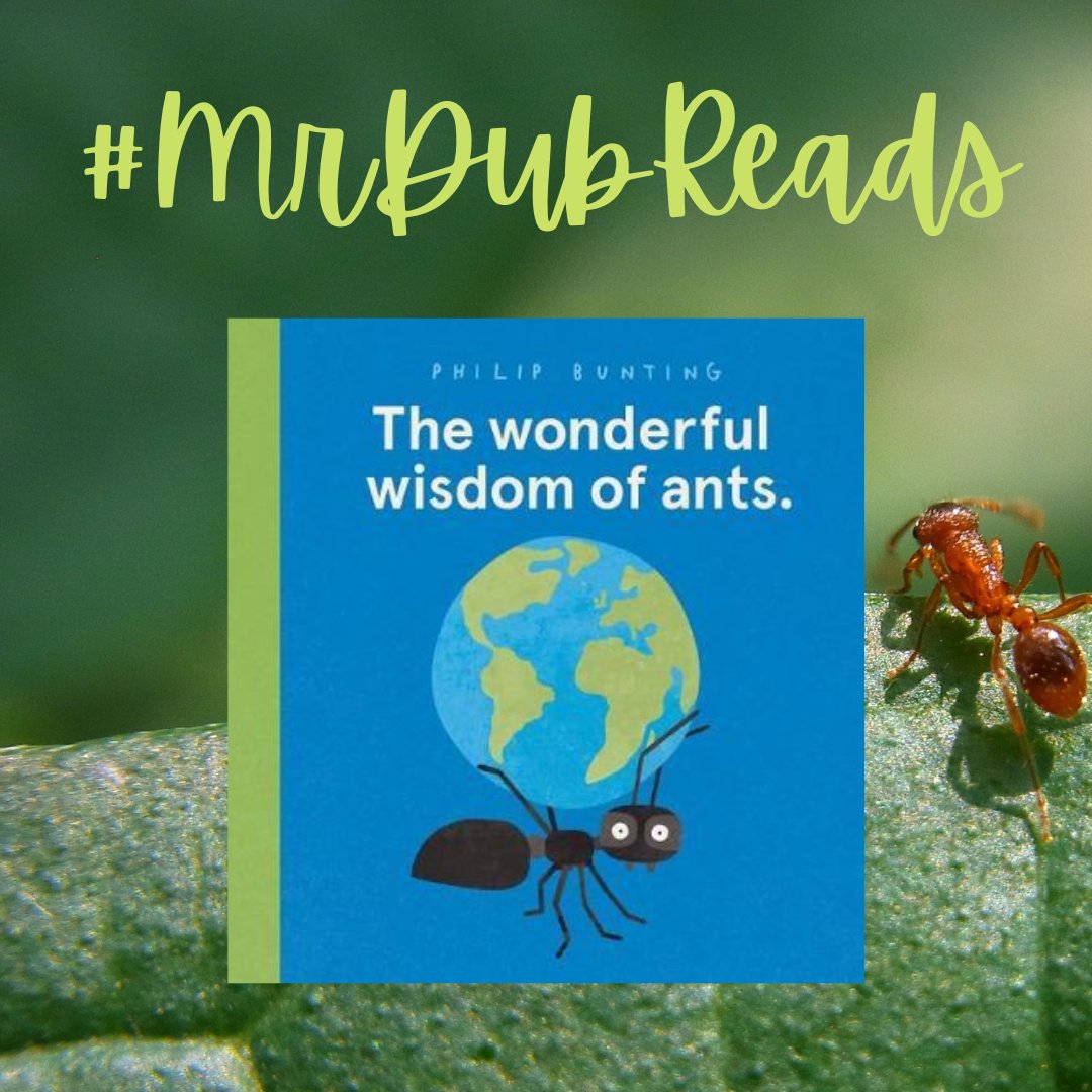 mrdubnz's tweet photo. #MrDubReads The wonderful wisdom of ants. by Philip Bunting @philip.bunting
Ho is a nonfiction book so much fun! Read this book to find out about our little ant friends and maybe learning something about yourself, as well!
#book #bookish #booktwt #BookTwitter #booklover https://t.co/jisfK3iAUC