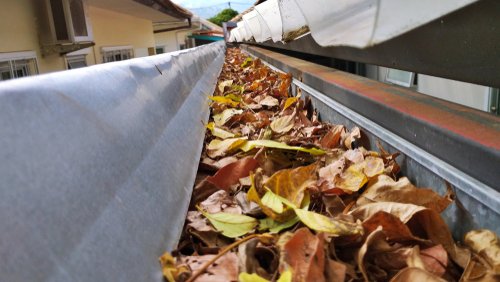 SFPatBrown's tweet image. As the leaves begin to fall, it is important to make sure that your gutters stay clean. If you think it is too dangerous to clean your own gutters, call a professional. #AgentTip