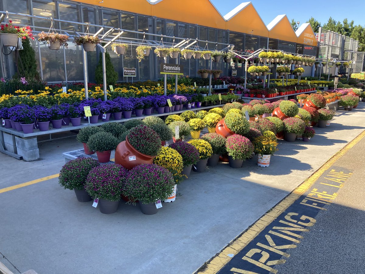 KennethWise (@kwisepps) on Twitter photo That beautiful Yellow Sunbeckia adds so much colors to your Fall Gardens. Available in Metro Atlanta Home Depot’s. Villa Rica Store “Come and get it”!!!!! <a href="/Stephen_E_Camp/">Stephen Camp</a> <a href="/GriffinAgriffin/">Alphonso Griffin</a> @PPSinHD That beautiful Yellow Sunbeckia adds so much colors to your Fall Gardens. Available in Metro Atlanta Home Depot’s. Villa Rica Store “Come and get it”!!!!! <a href="/Stephen_E_Camp/">Stephen Camp</a> <a href="/GriffinAgriffin/">Alphonso Griffin</a> @PPSinHD