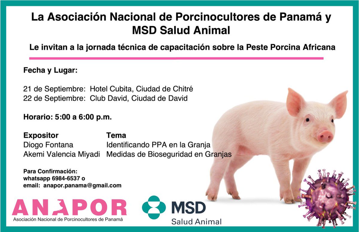 AnaporPanama's tweet photo. El 21 de septiembre, Carlos Pitty, Presidente de #ANAPOR, junto a @MSDAnimalHealth , se reunió en Chitré con los porcicultores de la región de Azuero, capacitándolos sobre las mejores prácticas contra la PPA en Panamá. #TodosContraLaPPA #Panama @IMA_Pma @MIDAPma @MINSAPma https://t.co/lTBMeMIwyO