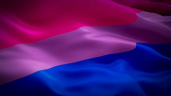 1 pic. 🌈À l'occasion de la Journée Internationale de la Visibilité Bisexuelle, je souhaite contribuer