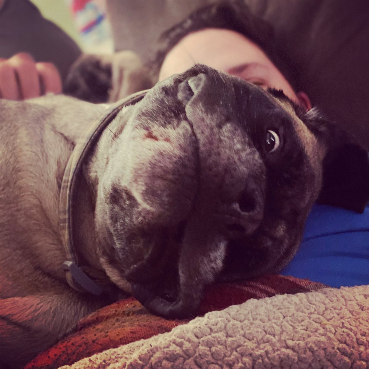 Kate Regling DO tweet media