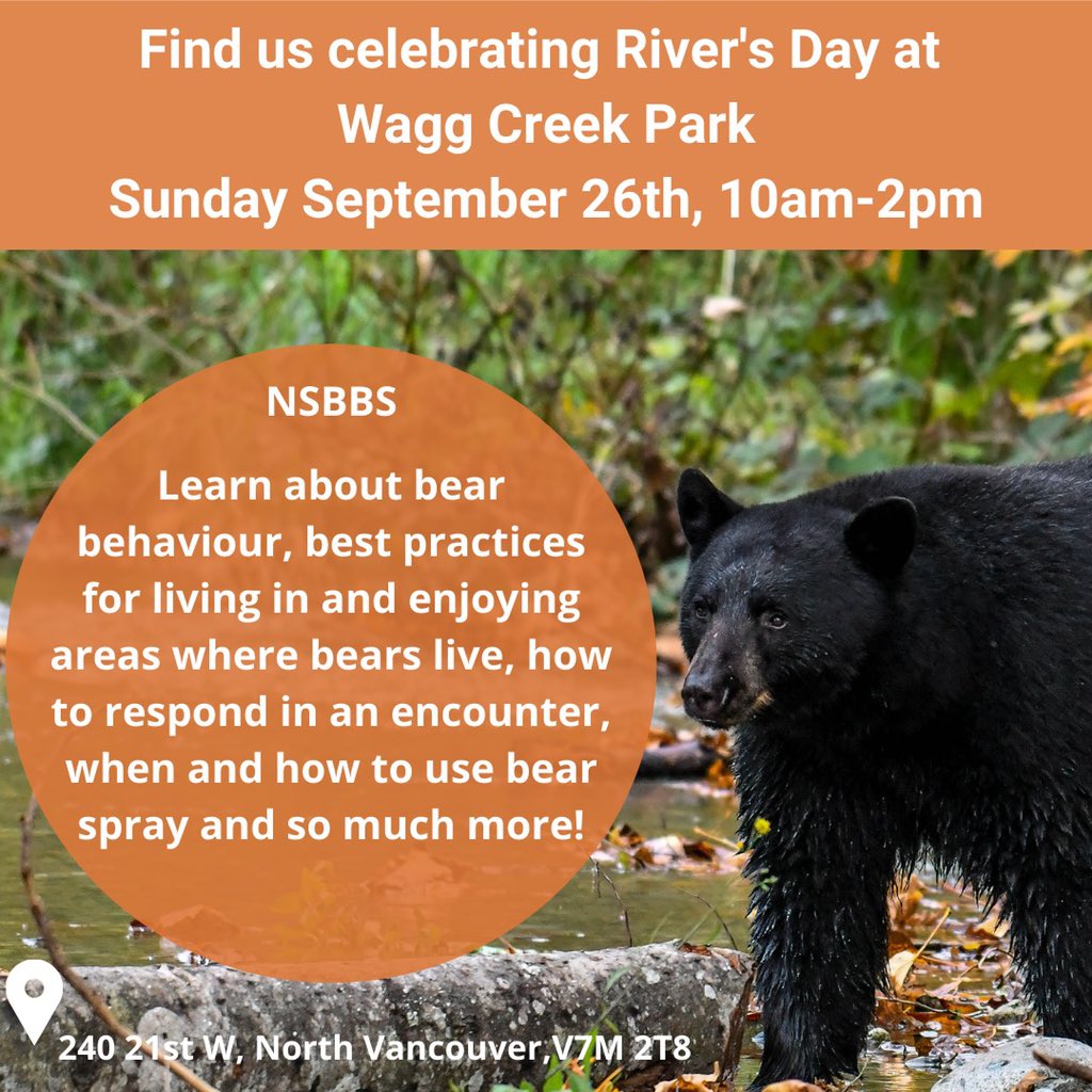 NSBBS (@nsbbsociety) on Twitter photo 