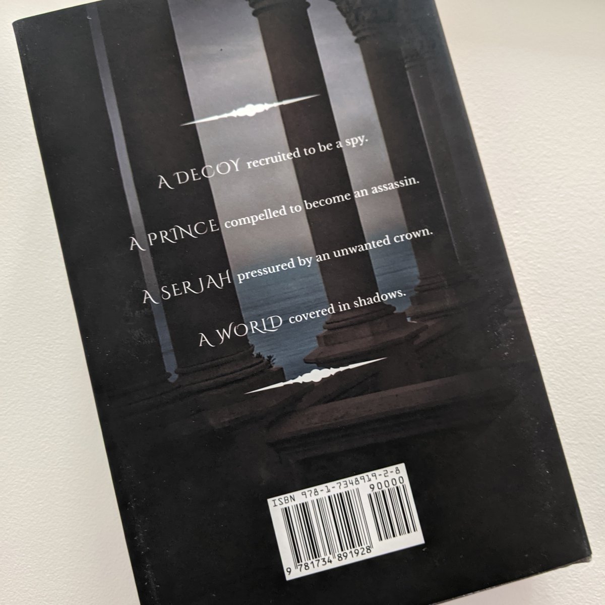 HeatherFrost's tweet photo. QotD: When you read, do you like silence or music?

We show the front covers of books all the time, so I thought I'd change it up by showing off the back of Royal Spy 😊

#bookbacks #royalspy #fateofeyrinthia #FoE #YaFantasyRomance https://t.co/PJamfm0Kn1