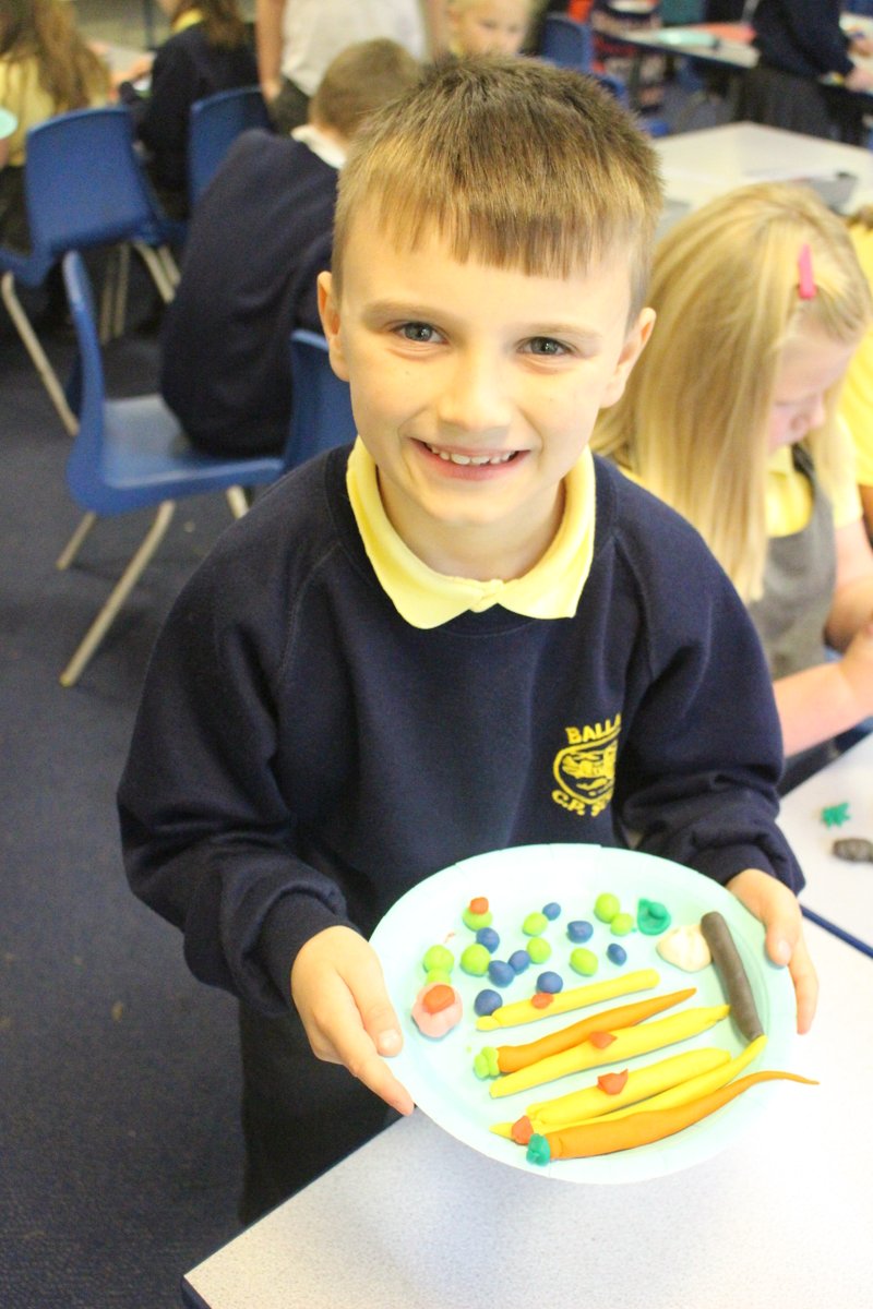 MissHallSport's tweet photo. Healthy eating plates @balladenschool https://t.co/jaV7krKf0k