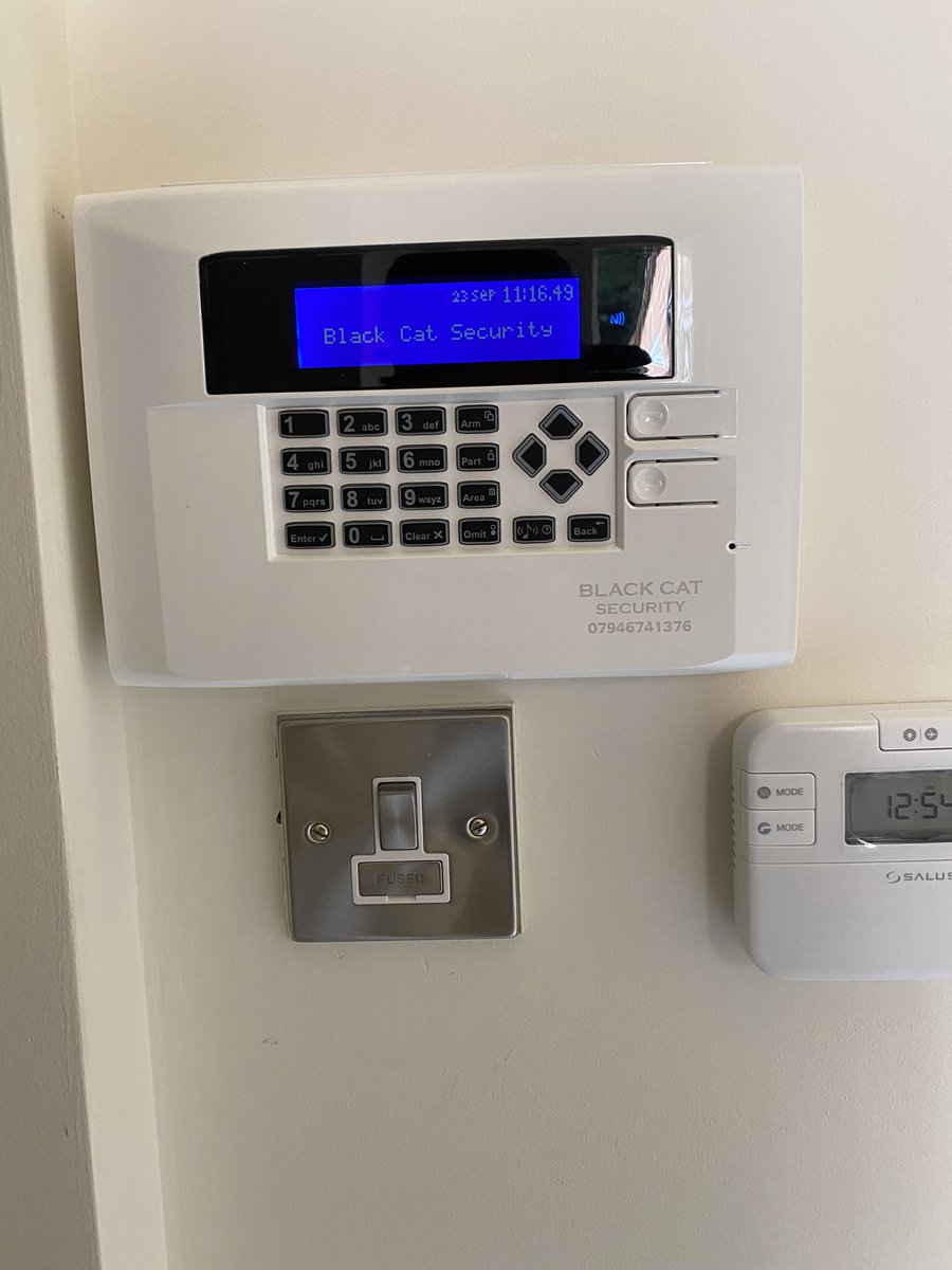 Black Cat Security (BlackCatSecuri3) Twitter