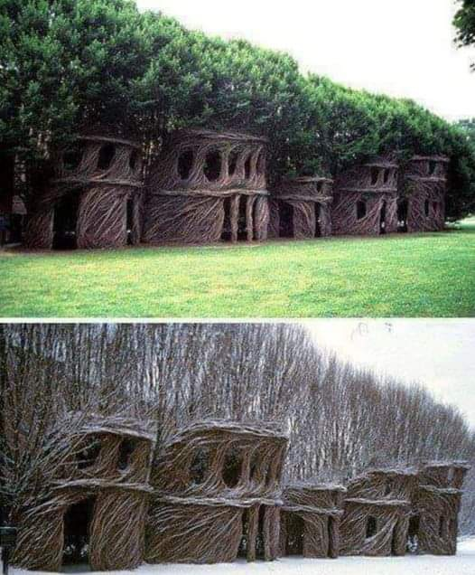 SubRosaMagick's tweet image. Patrick Dougherty shapes living trees into incredible natural tree buildings. Gives a whole new meaning to a green room :)  
I love the idea of a natural temple, how about you?