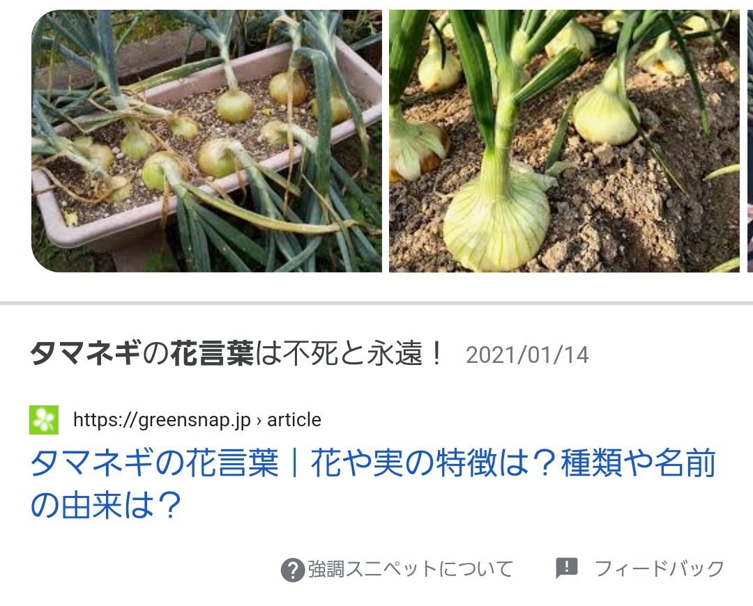 空き地