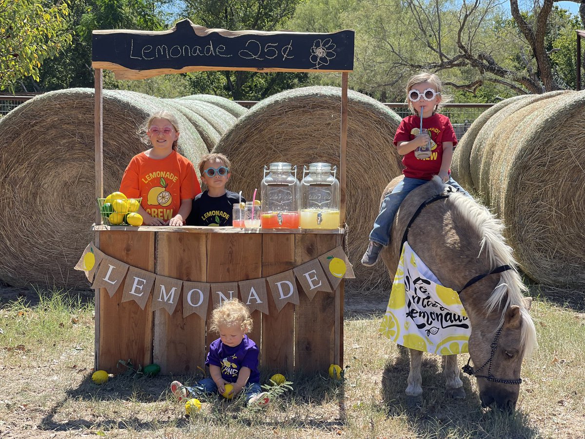 tntranchsales's tweet photo. When life gives you lemons!!! #lemonadestand #ponies #tntranch #kidsandponies https://t.co/zsXeZvALNN