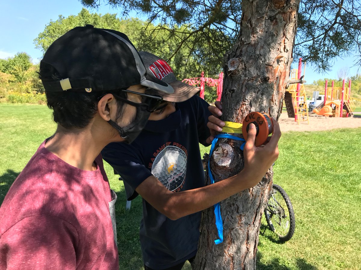 CVC_CA's tweet photo. The perfect end to summer &amp; a great way to kick off #fall! Thank you to these amazing youth for planting trees in the Credit River Watershed. Do you know a youth looking to get involved &amp; earn #volunteer hours? Check out our #Youth4theCredit program 🧑‍🎓🌲🐞
https://t.co/3FsMa3Wht5 https://t.co/nZkZV08mm6